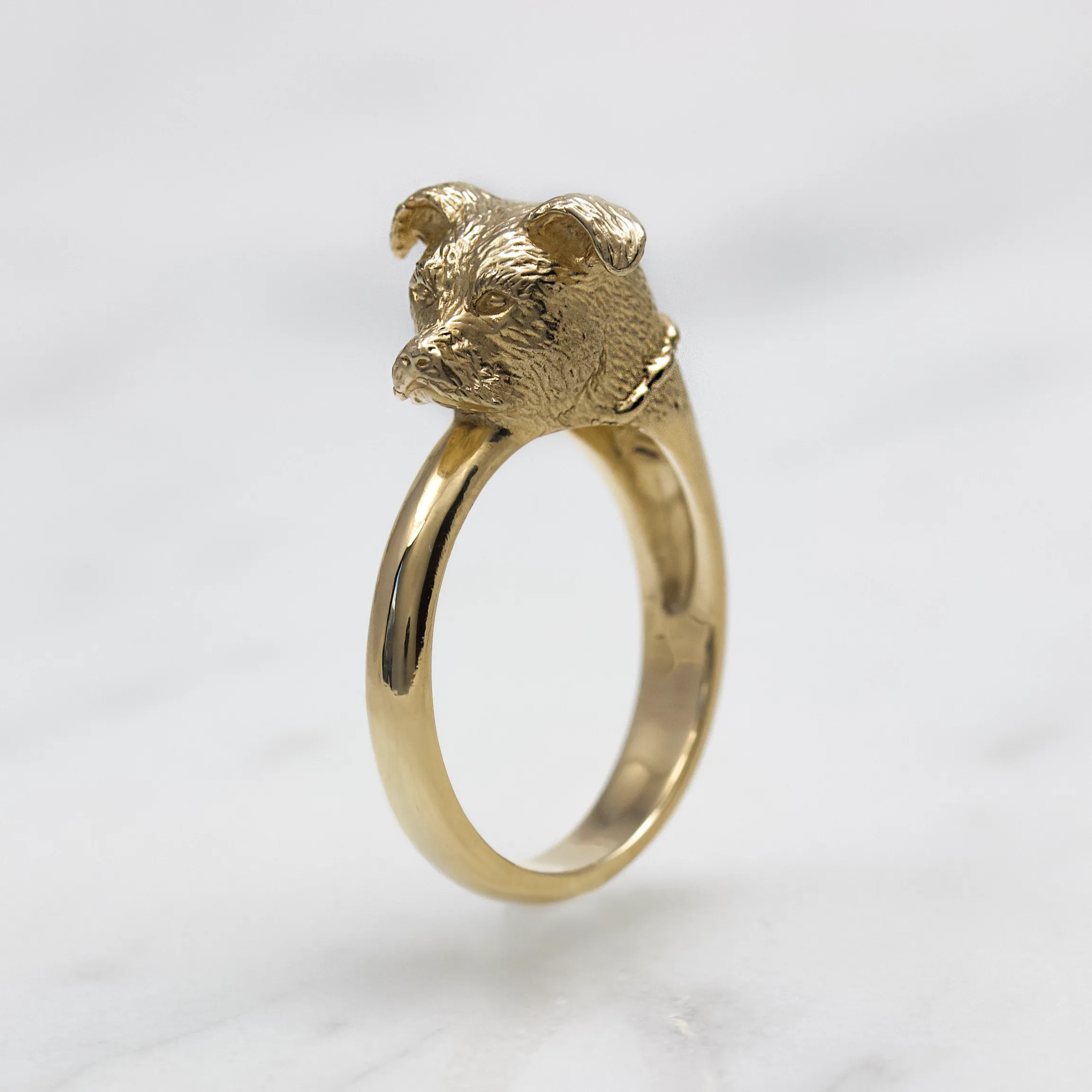 Pitbull Ring