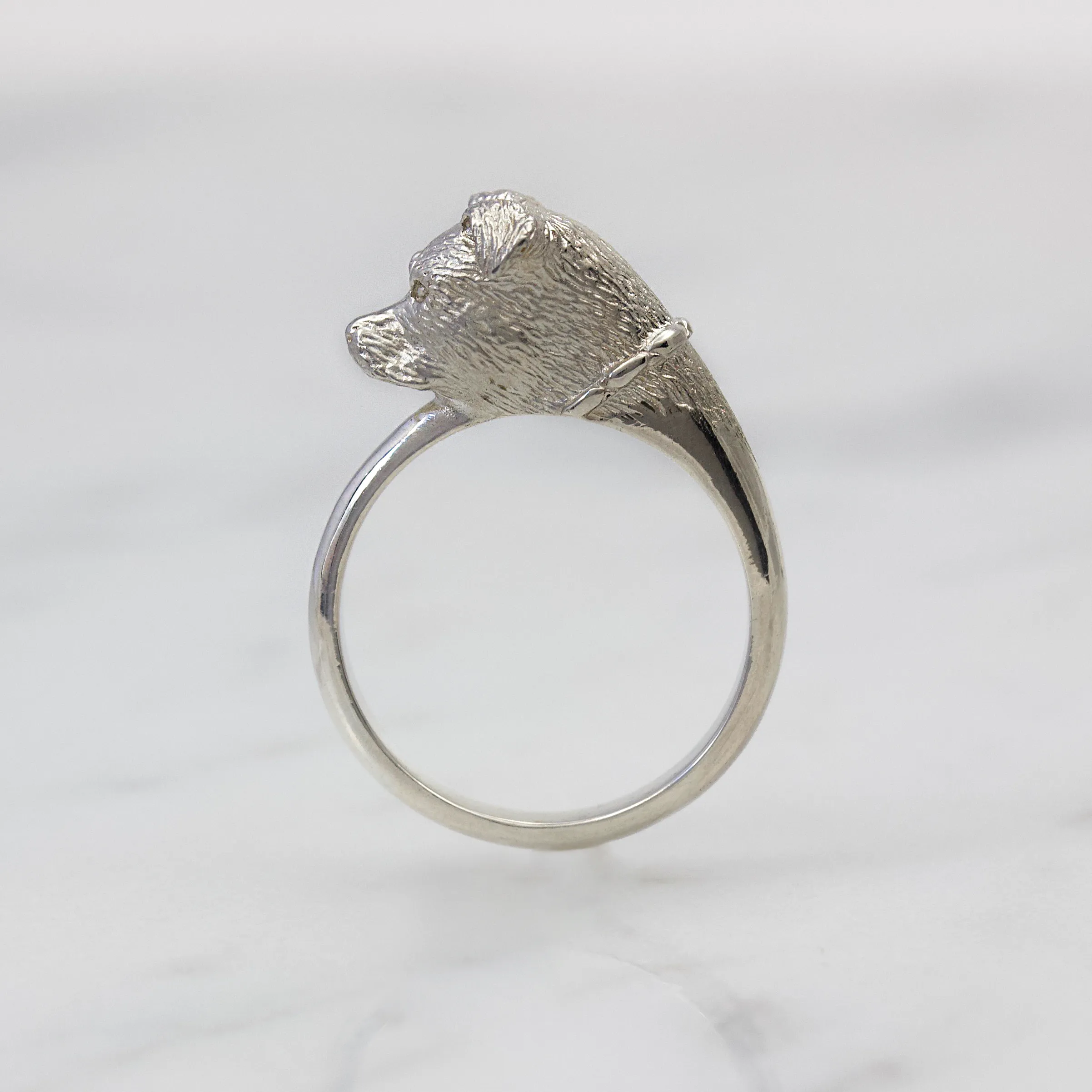 Pitbull Ring