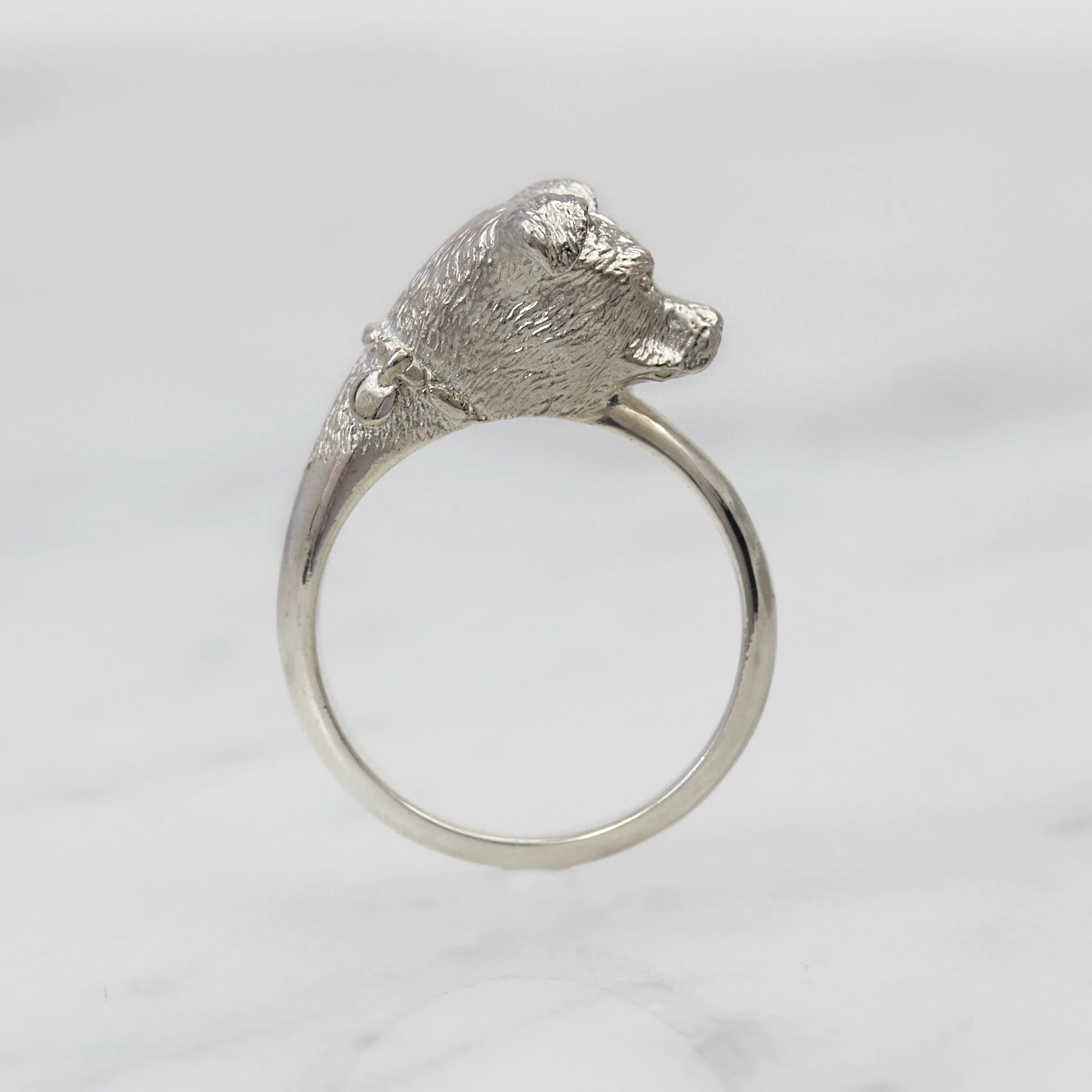 Pitbull Ring