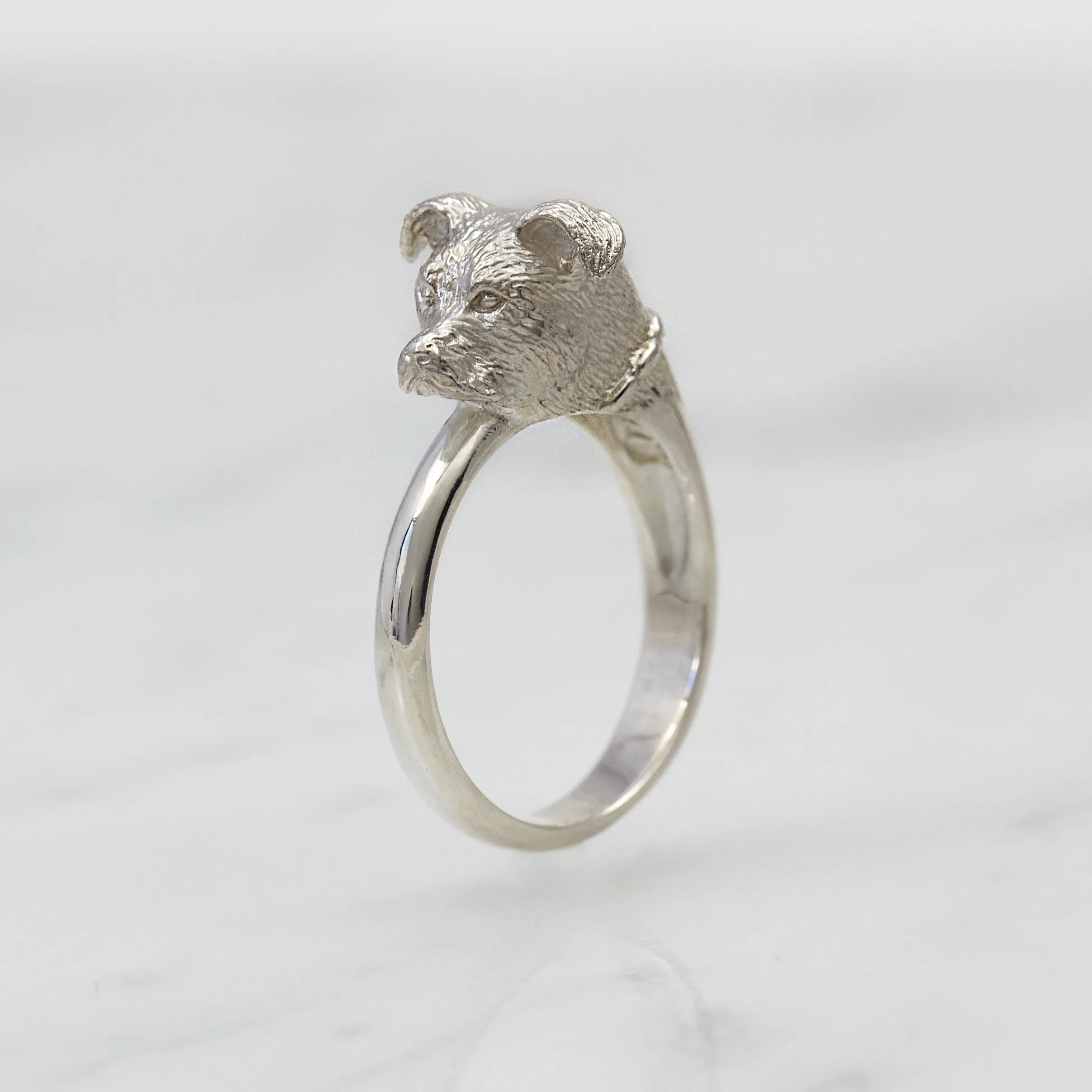 Pitbull Ring