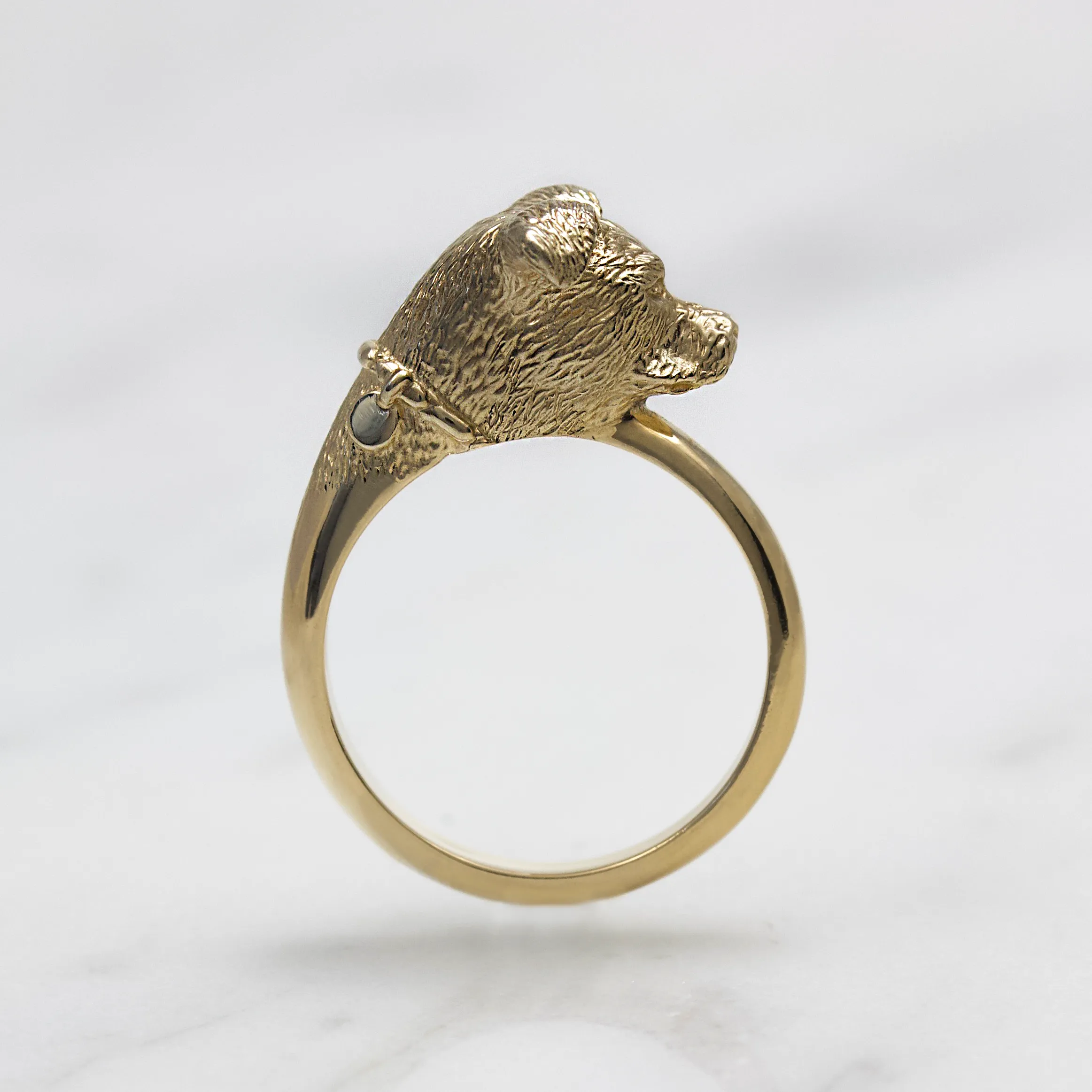 Pitbull Ring