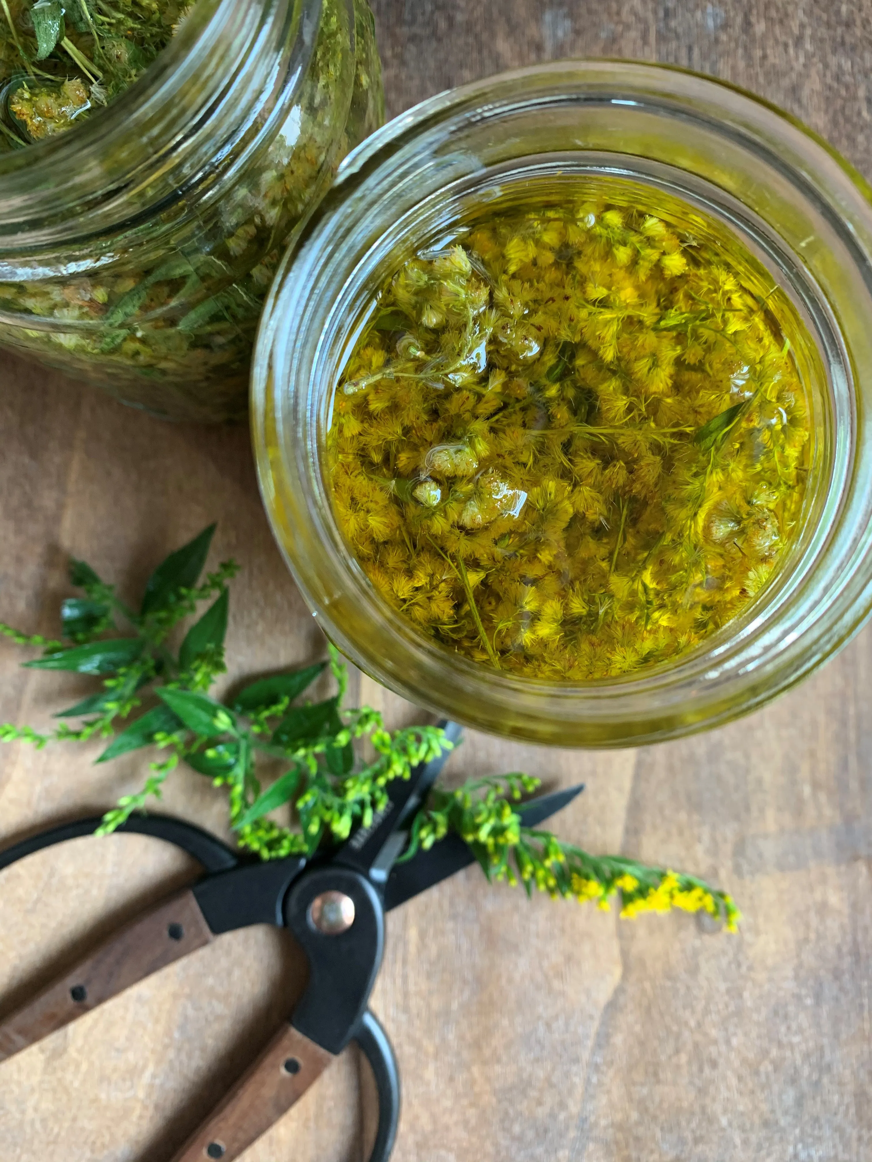 PRECIPICE - Luxe Botanical Facial Oil - Goldenrod, Camellia, Turmeric, Osmanthus, Carrot Seed