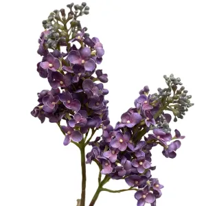 Purple Lilac Spray
