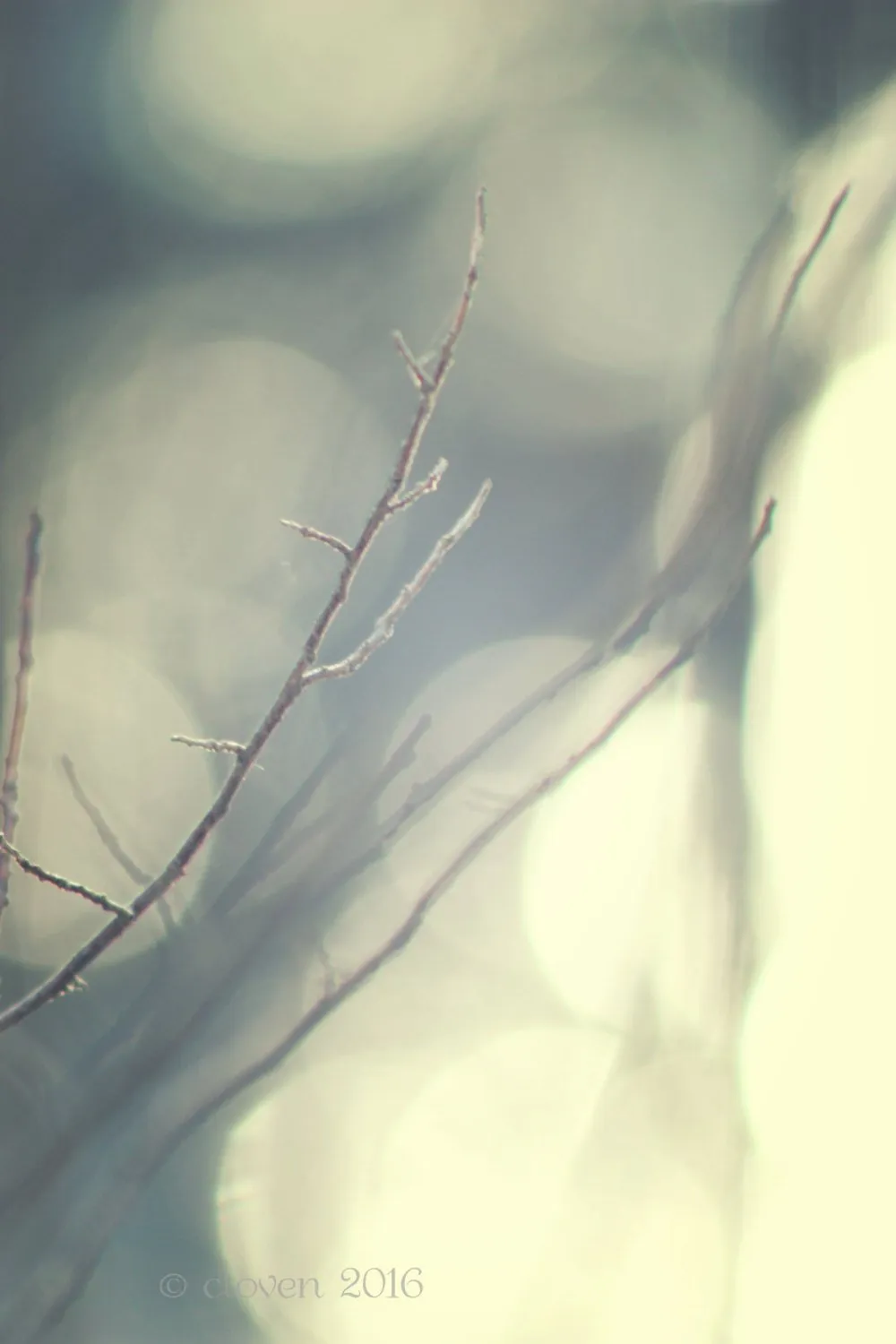 "Familiar Spirit". Original Artwork Photography Print.