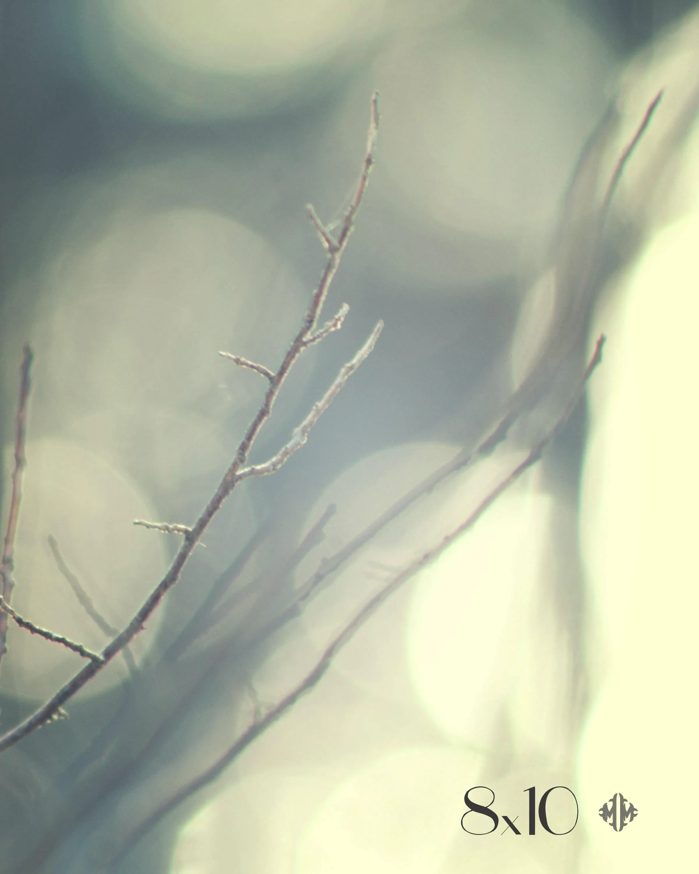 "Familiar Spirit". Original Artwork Photography Print.