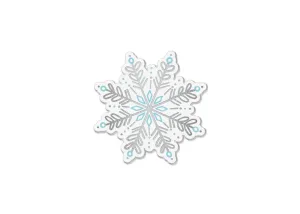 Snowflake Big Attachment