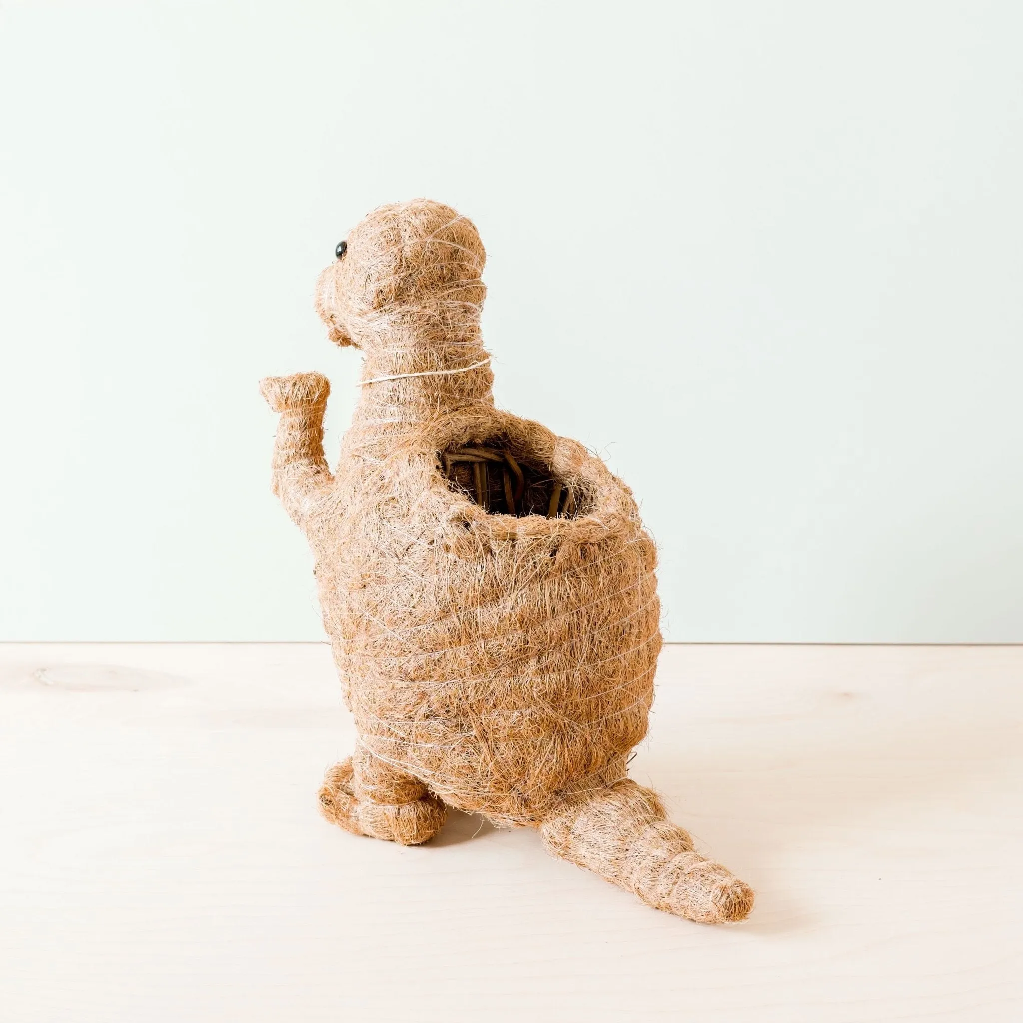 T-Rex Planter - Coco Coir Pots