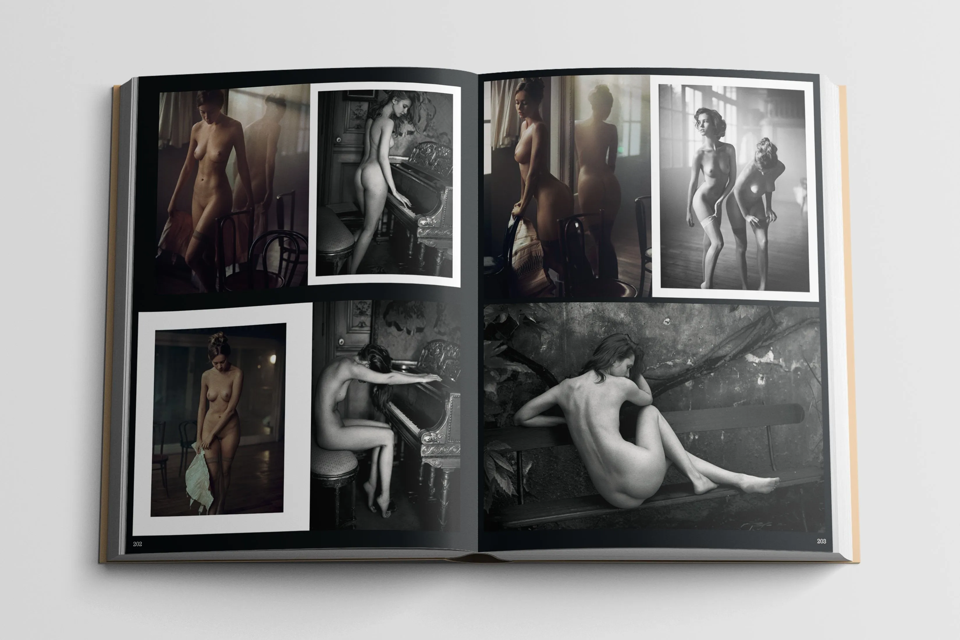 Treats! "Bares It All" Coffee Table Book