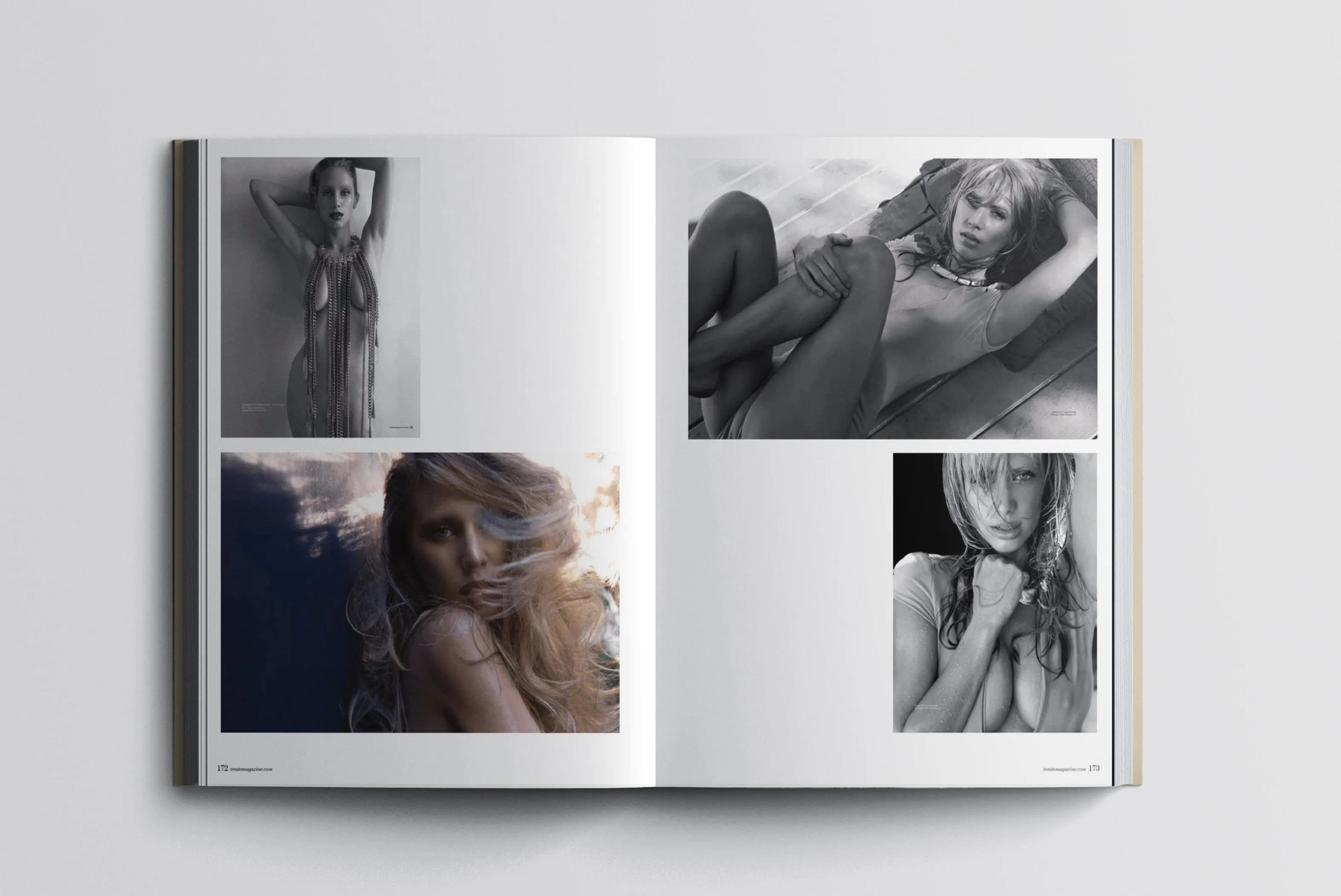 Treats! "Bares It All" Coffee Table Book