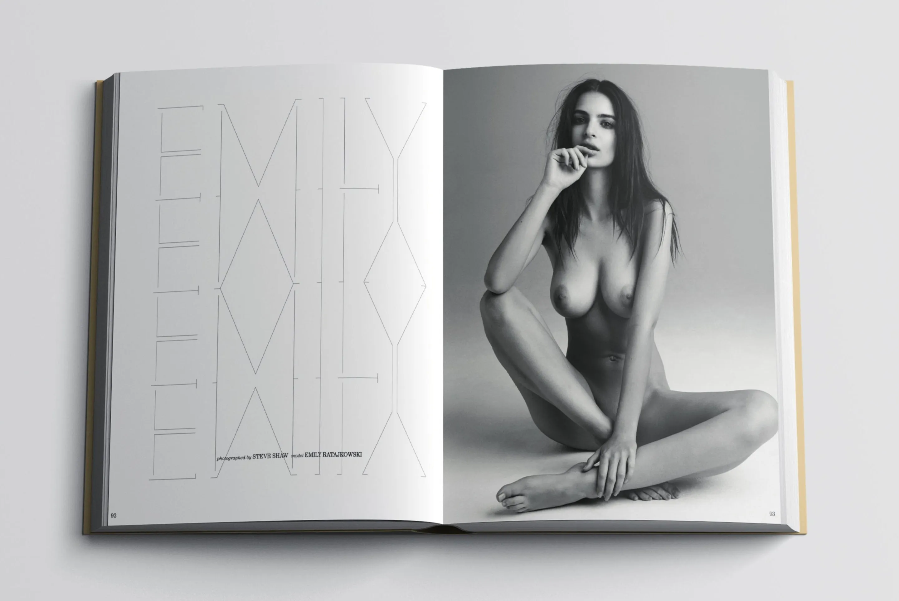 Treats! "Bares It All" Coffee Table Book