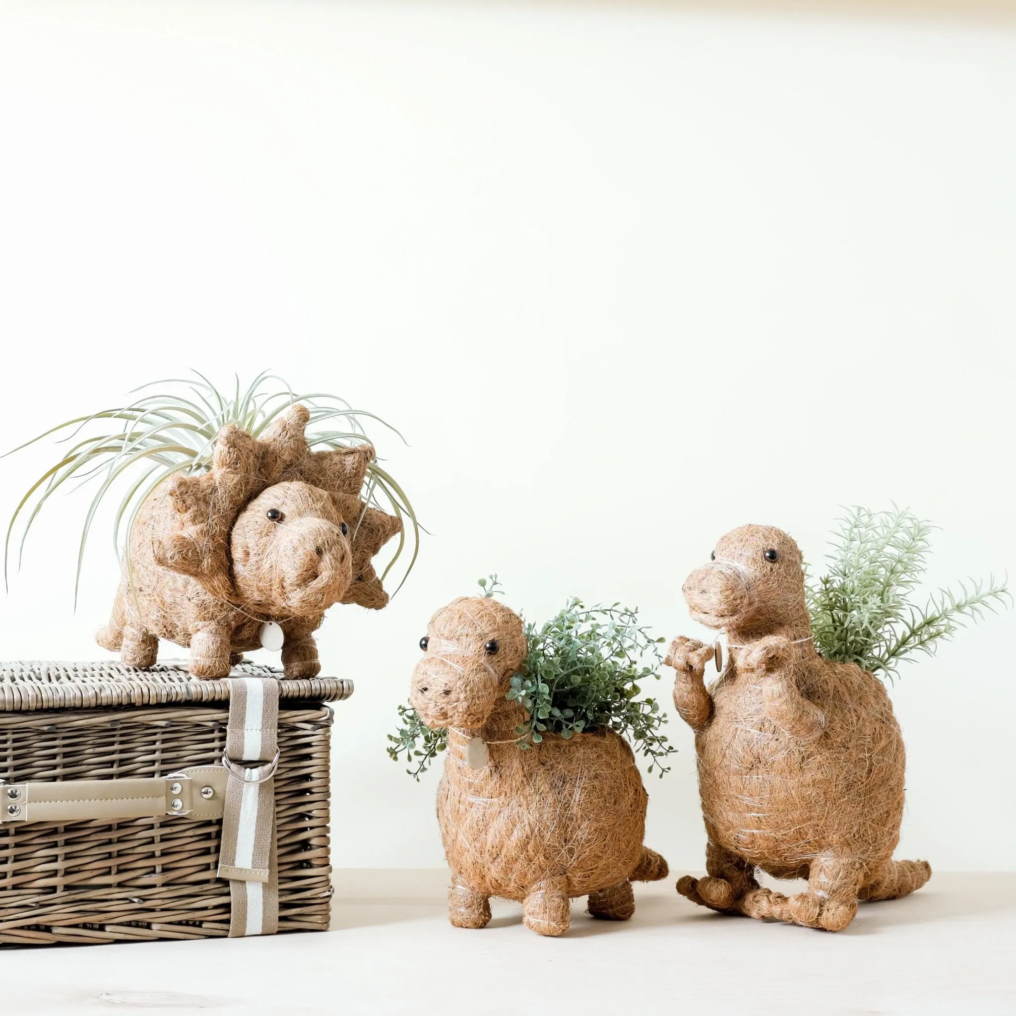 Triceratops Planter - Coco Coir Pots
