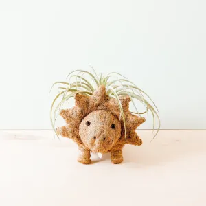 Triceratops Planter - Coco Coir Pots