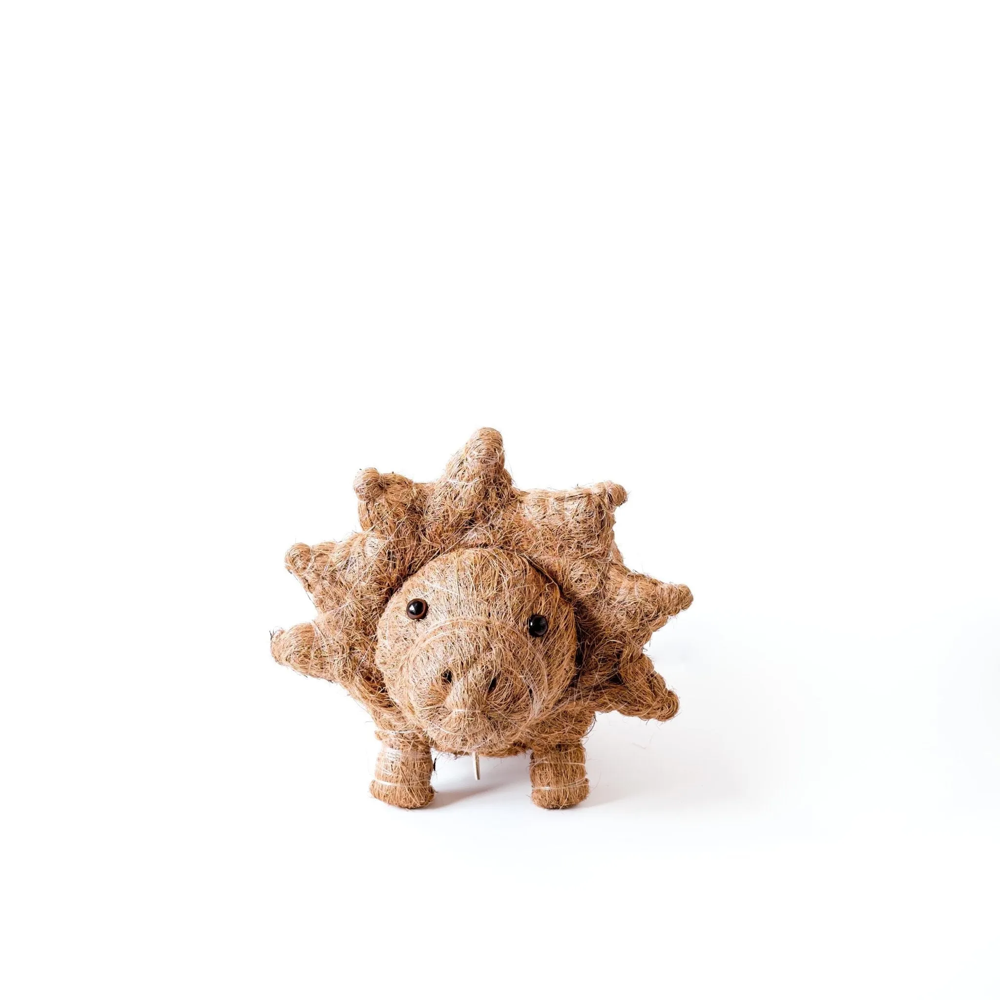 Triceratops Planter - Coco Coir Pots