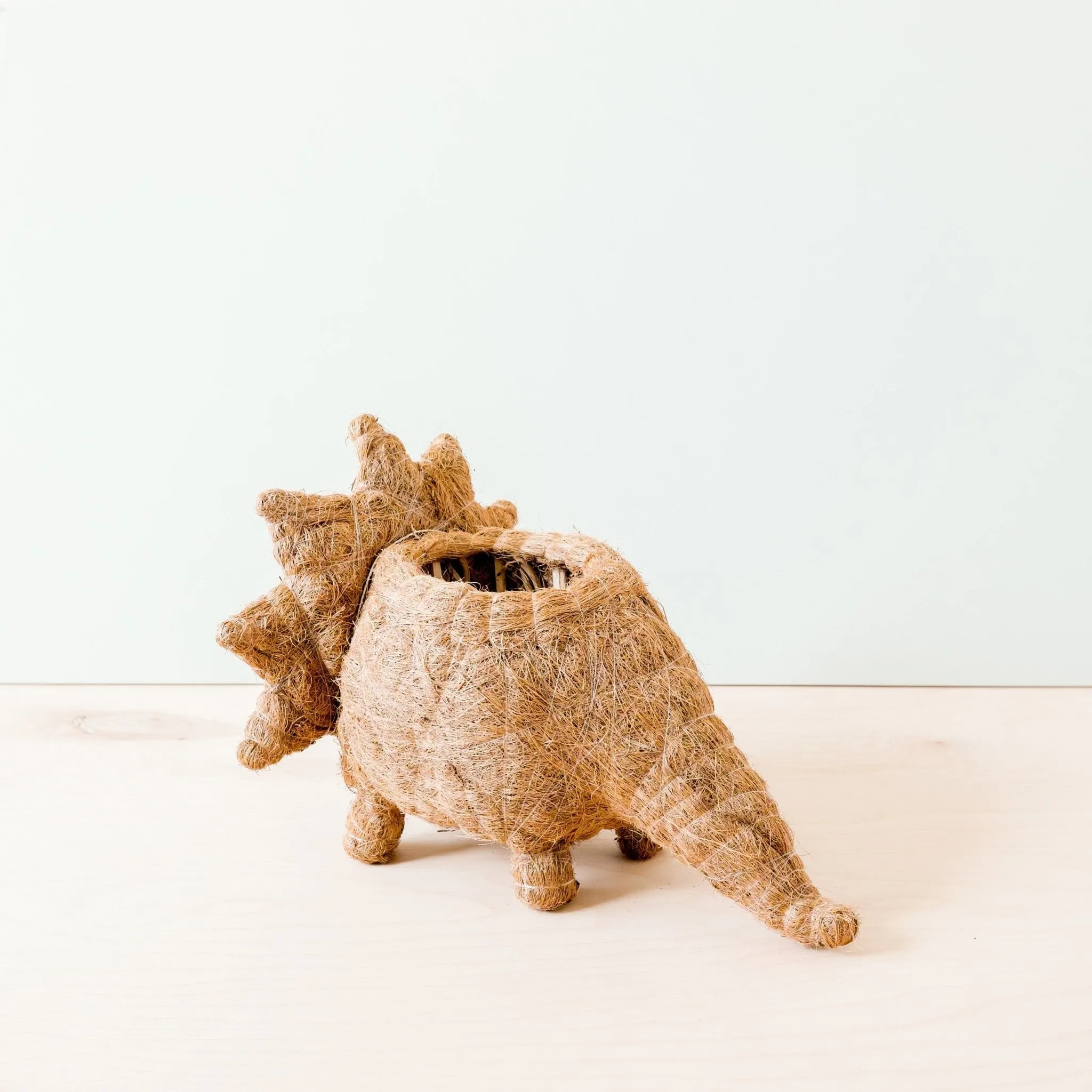 Triceratops Planter - Coco Coir Pots