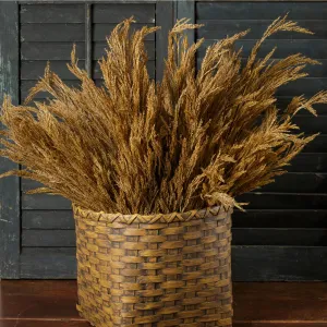 Wheat Bush