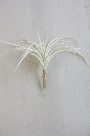 White Air Plant Large (Pack of 6)