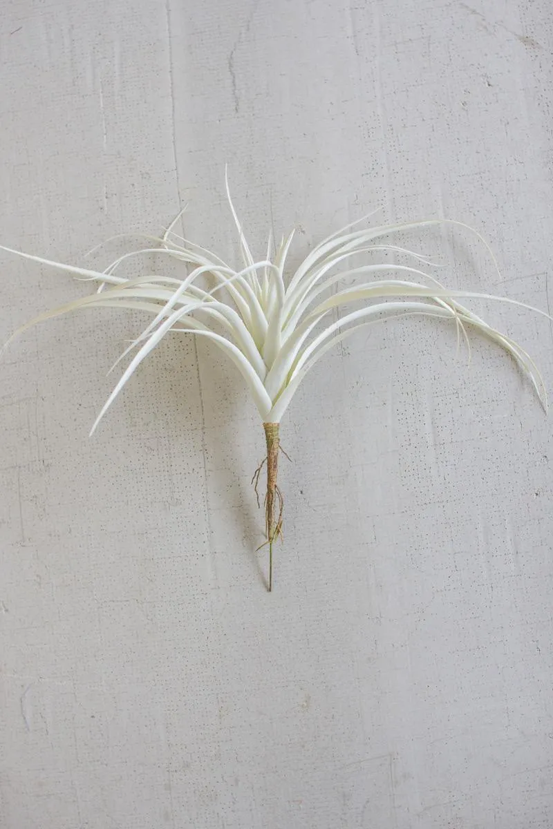White Air Plant Large (Pack of 6)