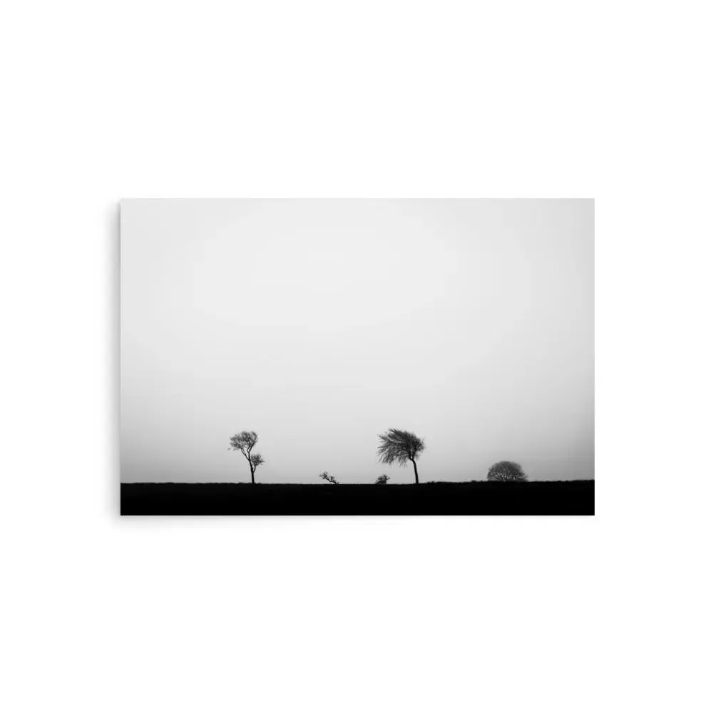 Windswept Trees – Black and White Poster Minimalist