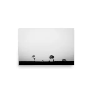 Windswept Trees – Black and White Poster Minimalist