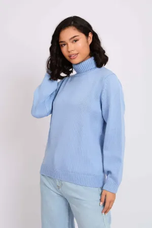 Women Pullover Neck Regular Fit Blue