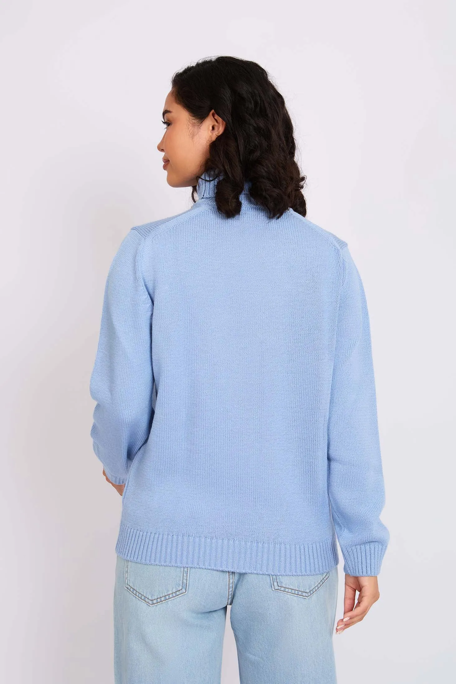 Women Pullover Neck Regular Fit Blue