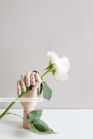 Wooden Hand Holding a Single Rose. Stock Image