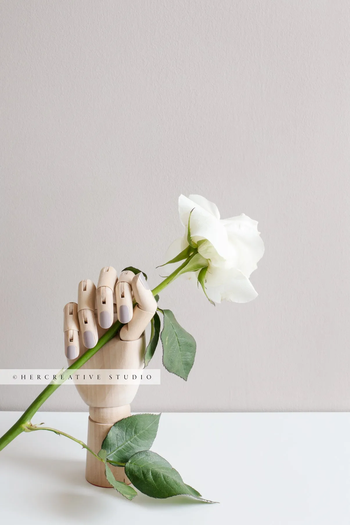 Wooden Hand Holding a Single Rose. Stock Image